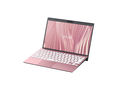VAIO SX12